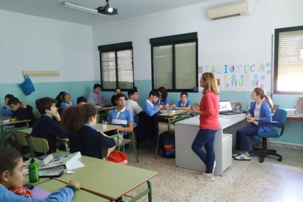 IMG_20191105_133231 IMG_20191105_133231