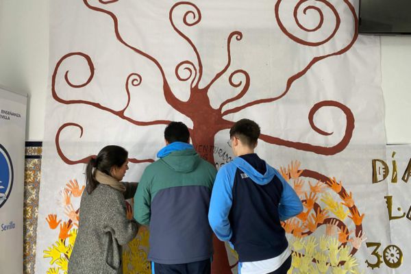 IMG-20200130-WA0088 IMG-20200130-WA0088