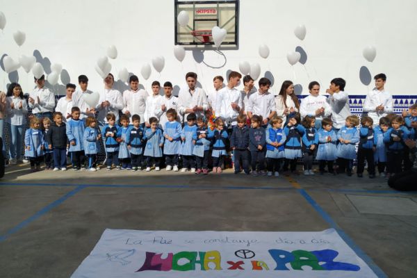 IMG_20200130_132908 IMG_20200130_132908