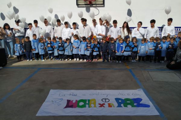 IMG_20200130_132917 IMG_20200130_132917