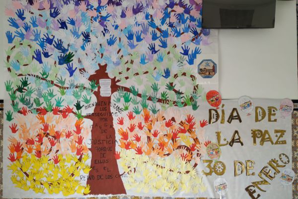 IMG_20200130_153511 IMG_20200130_153511