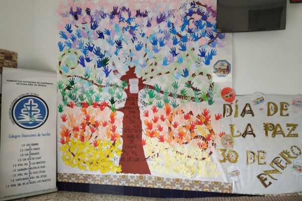 IMG_20200130_153613 IMG_20200130_153613