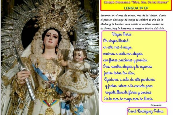 David Rodríguez Palma David Rodríguez Palma