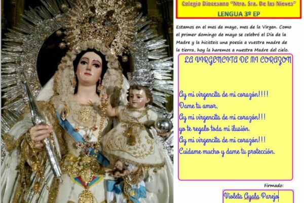 Violeta Ayala Parejo Violeta Ayala Parejo