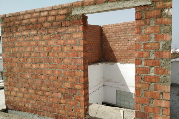 IMG_20200731_122400 IMG_20200731_122400