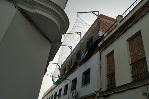 IMG_20200731_192058 IMG_20200731_192058