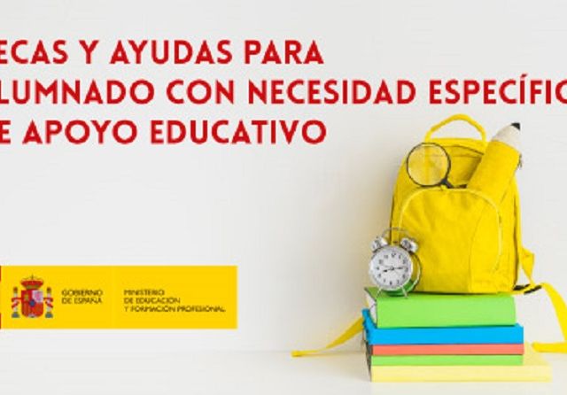 agustinasva_2018_ayudas_necesidades-ministerio