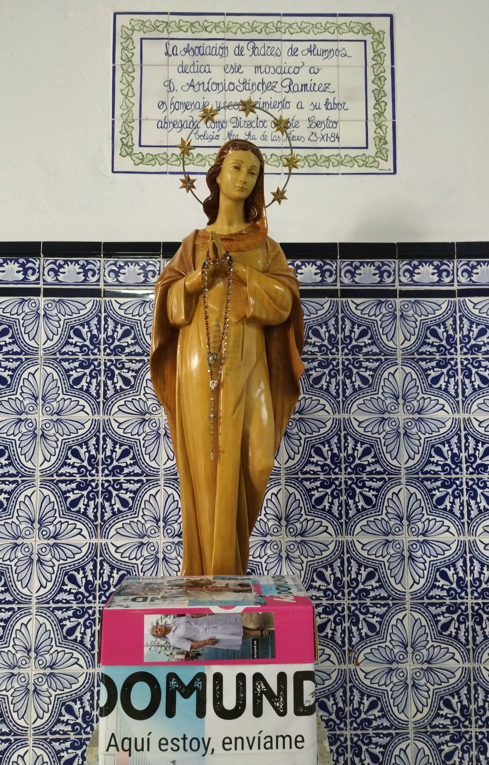 IMG_20201119_101800_BURST8