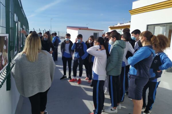 IMG-20201222-WA0186 IMG-20201222-WA0186