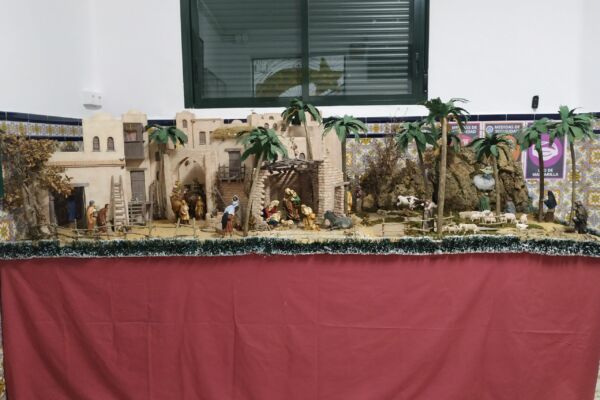 IMG_20201203_205004 IMG_20201203_205004