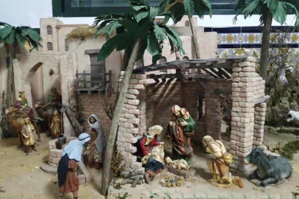 IMG_20201203_205016 IMG_20201203_205016