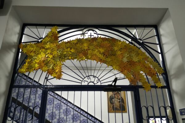 IMG_20201203_205027 IMG_20201203_205027