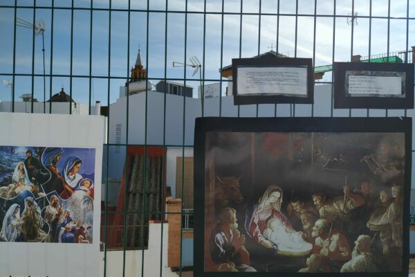 IMG_20201221_132443 IMG_20201221_132443