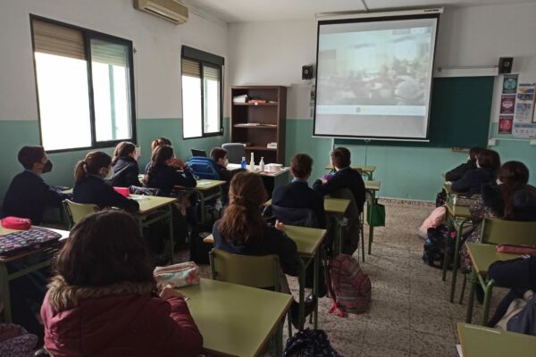 WhatsApp Image 2021-01-29 at 14.11.40