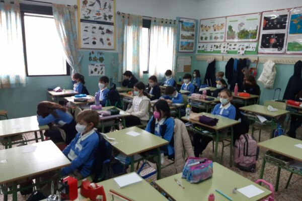 WhatsApp Image 2021-01-29 at 20.07.36