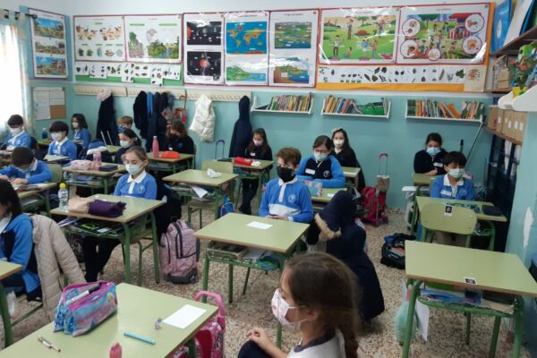 WhatsApp Image 2021-01-29 at 20.08.02