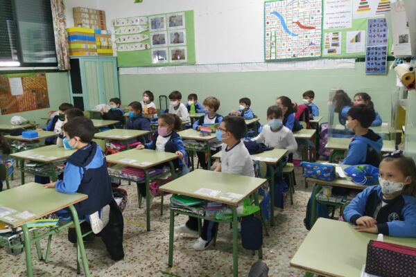 IMG_20210212_123305 IMG_20210212_123305