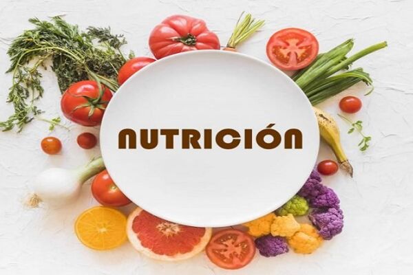 NUTRICIÓN-696x497 NUTRICIÓN-696x497