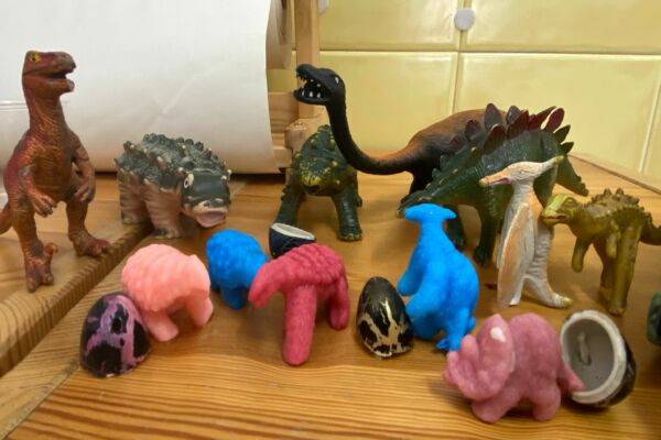 WhatsApp Image 2021-02-18 at 15.23.39 WhatsApp Image 2021-02-18 at 15.23.39