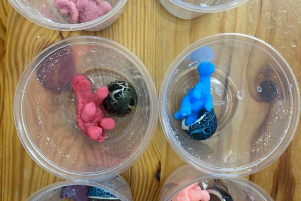 WhatsApp Image 2021-02-18 at 15.23.40 WhatsApp Image 2021-02-18 at 15.23.40