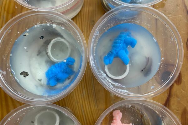 WhatsApp Image 2021-02-18 at 15.23.41 (1) WhatsApp Image 2021-02-18 at 15.23.41 (1)