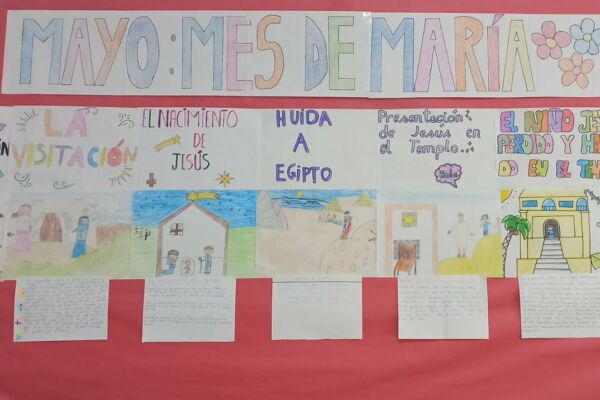 WhatsApp Image 2021-05-26 at 18.46.42