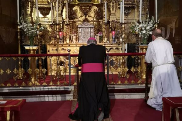 WhatsApp Image 2021-08-05 at 13.11.33