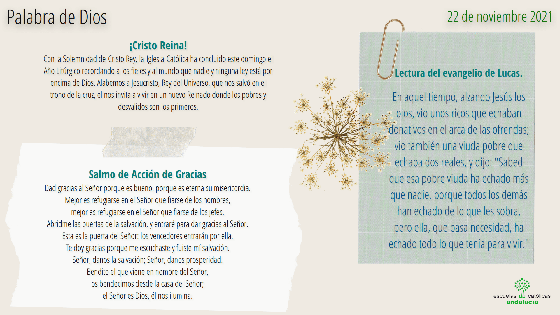 Oración noviembre 2021_016