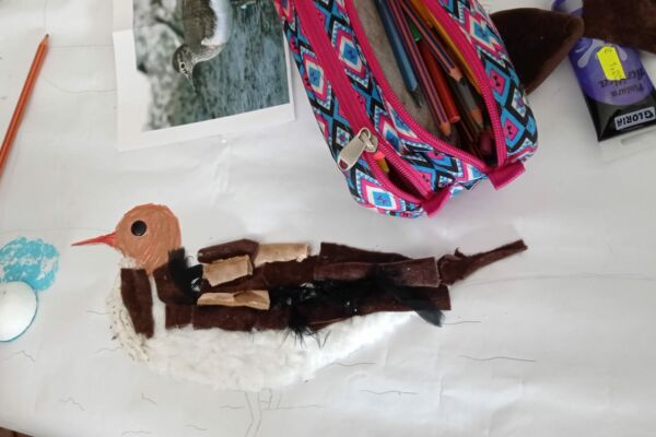 WhatsApp Image 2022-04-16 at 3.47.35 PM (1)