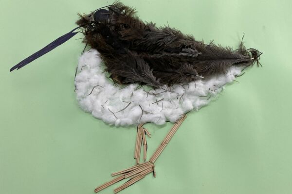 WhatsApp Image 2022-04-16 at 3.55.29 PM