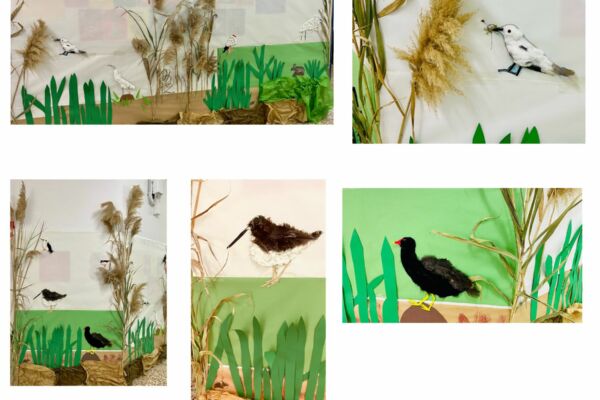 WhatsApp Image 2022-04-16 at 3.56.24 PM (2)