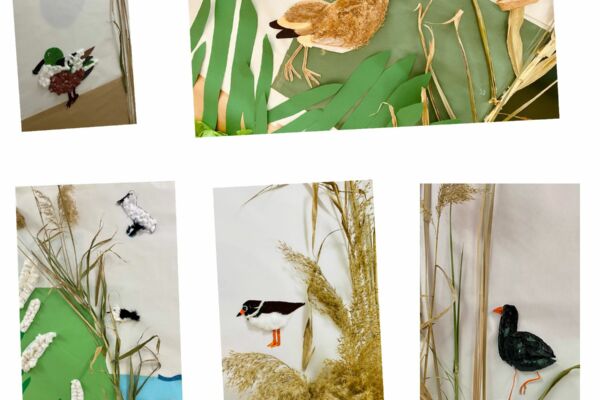 WhatsApp Image 2022-04-16 at 3.56.24 PM (3)