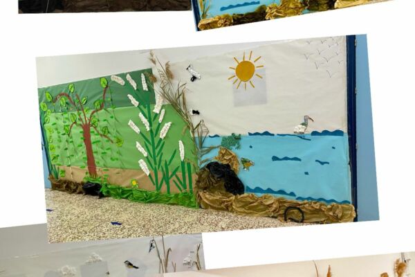 WhatsApp Image 2022-04-16 at 3.56.24 PM