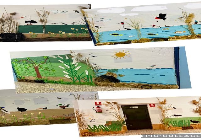 WhatsApp Image 2022-04-16 at 3.56.24 PM - copia (2)