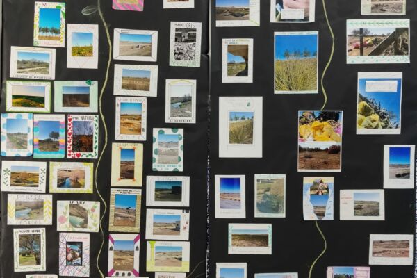 WhatsApp Image 2022-04-16 at 3.57.22 PM