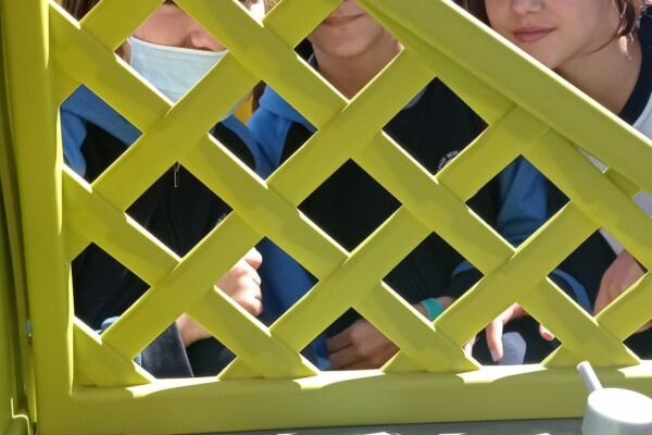 WhatsApp Image 2022-04-25 at 4.08.30 PM