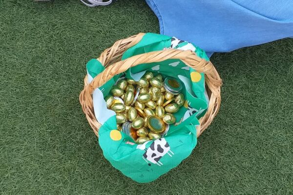 WhatsApp Image 2022-04-25 at 4.08.31 PM