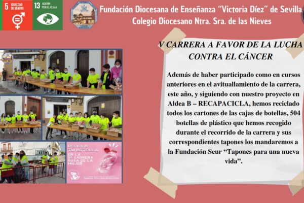 PROYECTO_003 PROYECTO_003