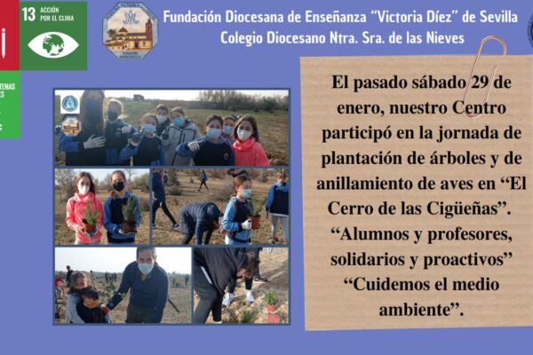 PROYECTO_007 PROYECTO_007