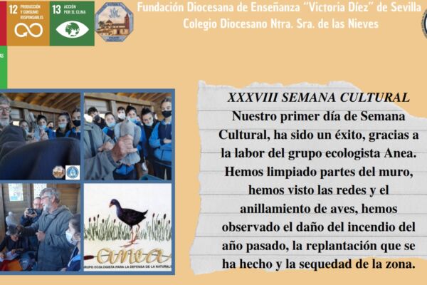 PROYECTO_010 PROYECTO_010