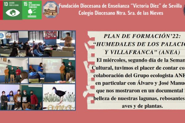 PROYECTO_011 PROYECTO_011