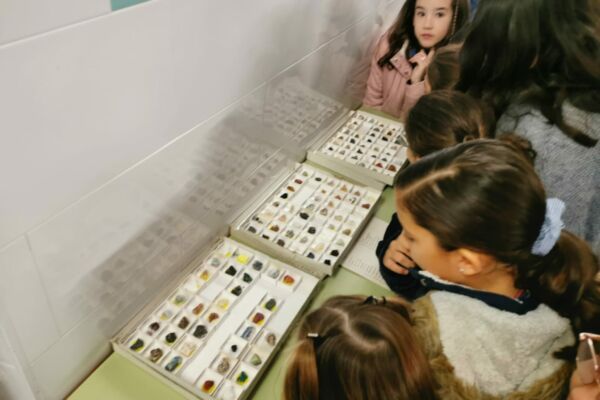 IMG-20221201-WA0012 IMG-20221201-WA0012