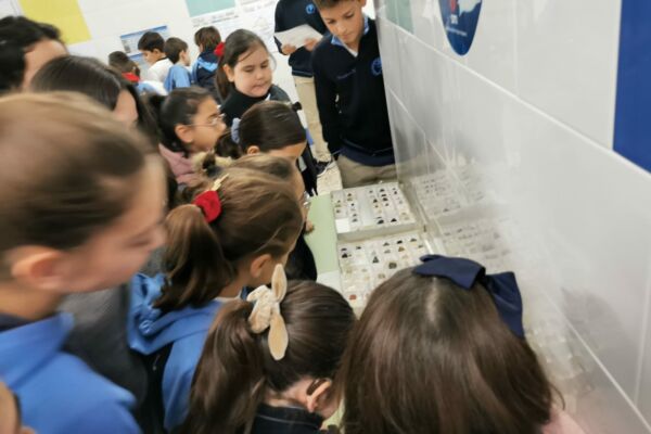 IMG-20221201-WA0018 IMG-20221201-WA0018