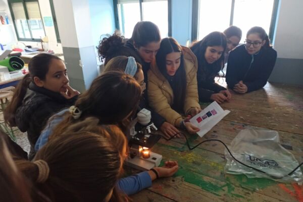 IMG-20221202-WA0003 IMG-20221202-WA0003