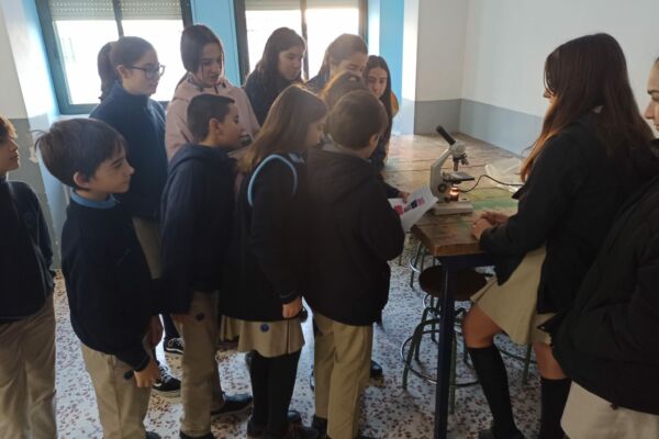 IMG-20221202-WA0005 IMG-20221202-WA0005