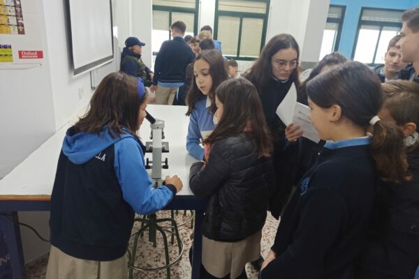 IMG-20221202-WA0007 IMG-20221202-WA0007