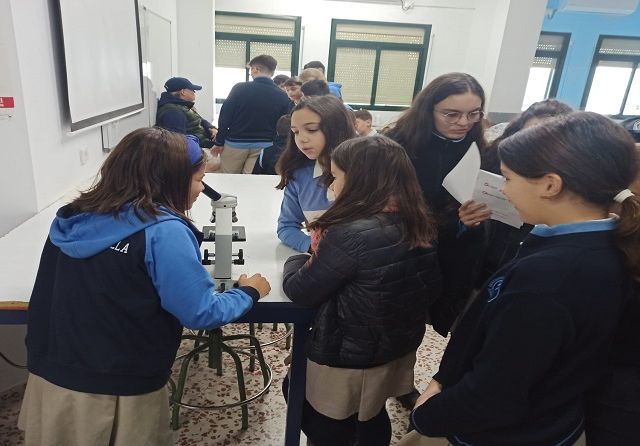 IMG-20221202-WA0007 - copia