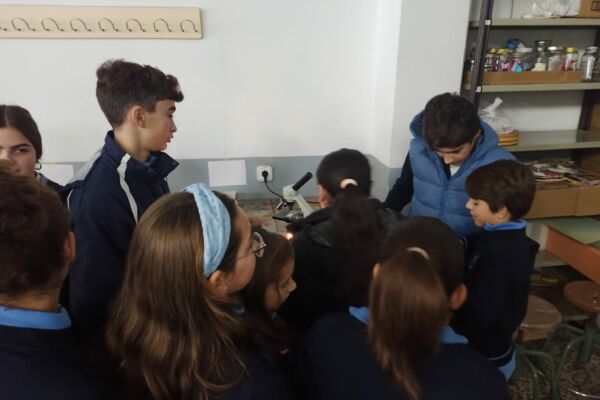 IMG-20221202-WA0009 IMG-20221202-WA0009