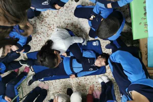 WhatsApp Image 2023-02-02 at 11.00.48 (6)