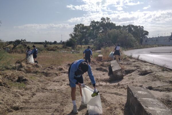 Imagen de WhatsApp 2023-04-26 s 22.55.55 Imagen de WhatsApp 2023-04-26 s 22.55.55